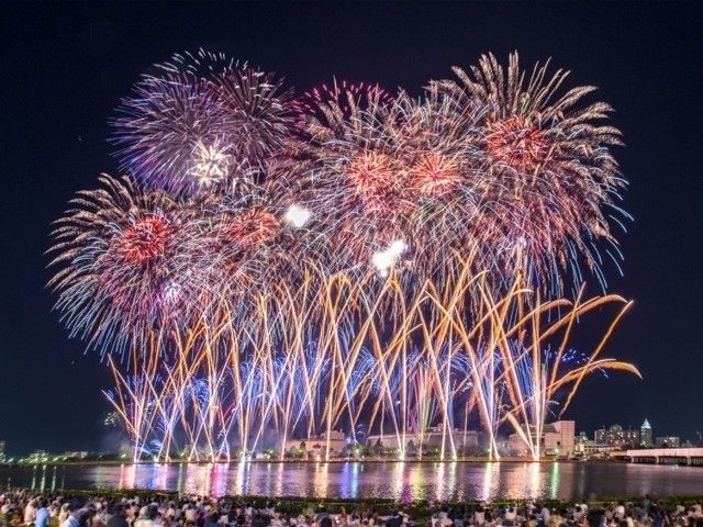 新潟大会花火まつり